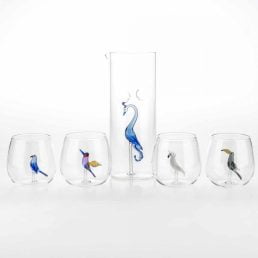 Tropical birds set of jug and 6 glasses C130 C133