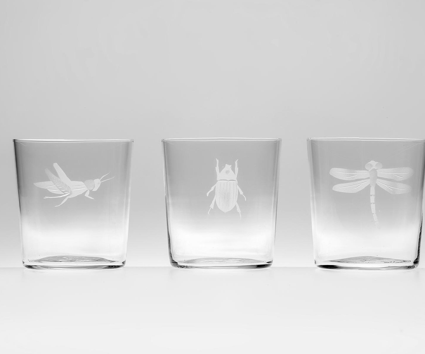 Set of 6 Engraved Insect glasses CEgI