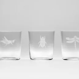 Engraved-Insect-glasses-2-CEgI