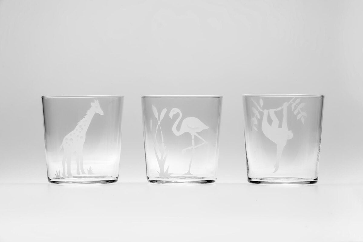Set of 6 Engraved Jungle glasses CEgJ