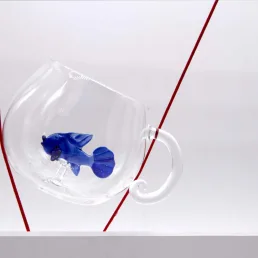 glass fish cup2