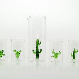c69 g c70g cactus glasses cactus juggreen casarialto