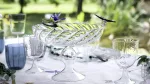 ali in volo glass fruit platter with dragonflies c209